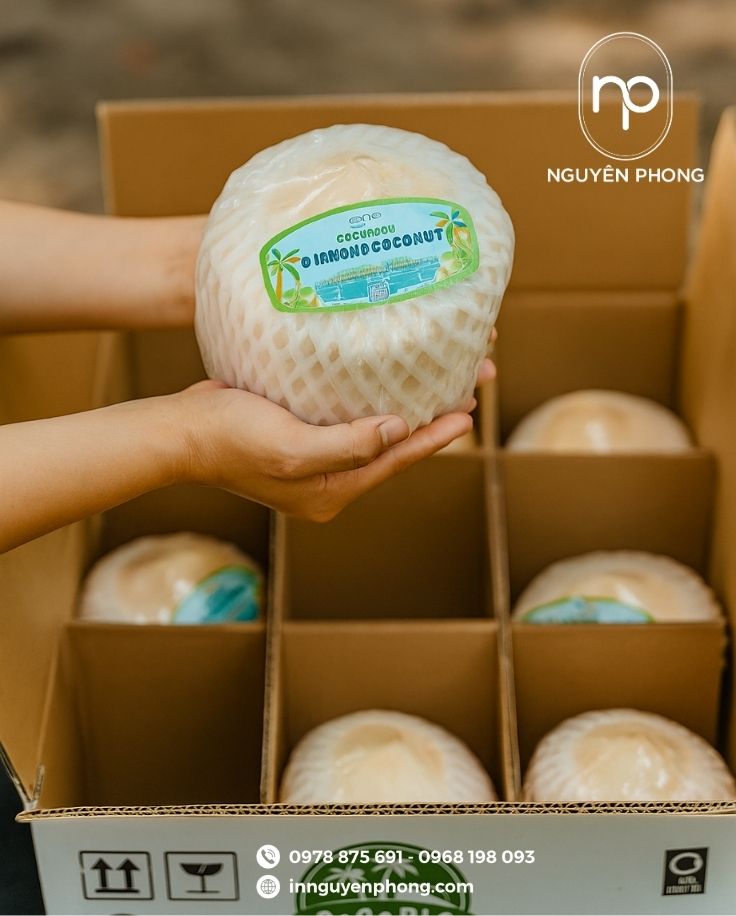 Thùng carton đựng dừa chia ngăn